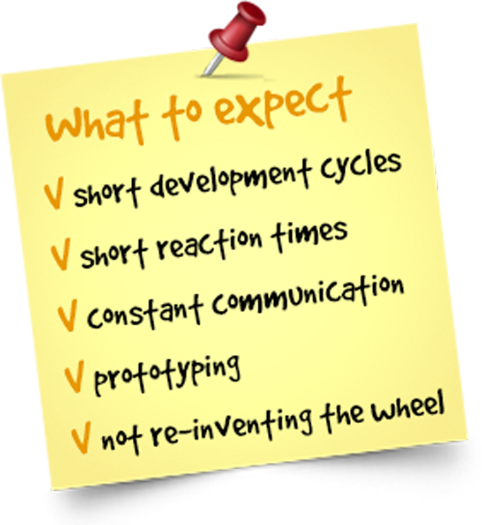 Agile: short cycles, short reaction times, constant communication, prototyping, not re-inventing the wheel